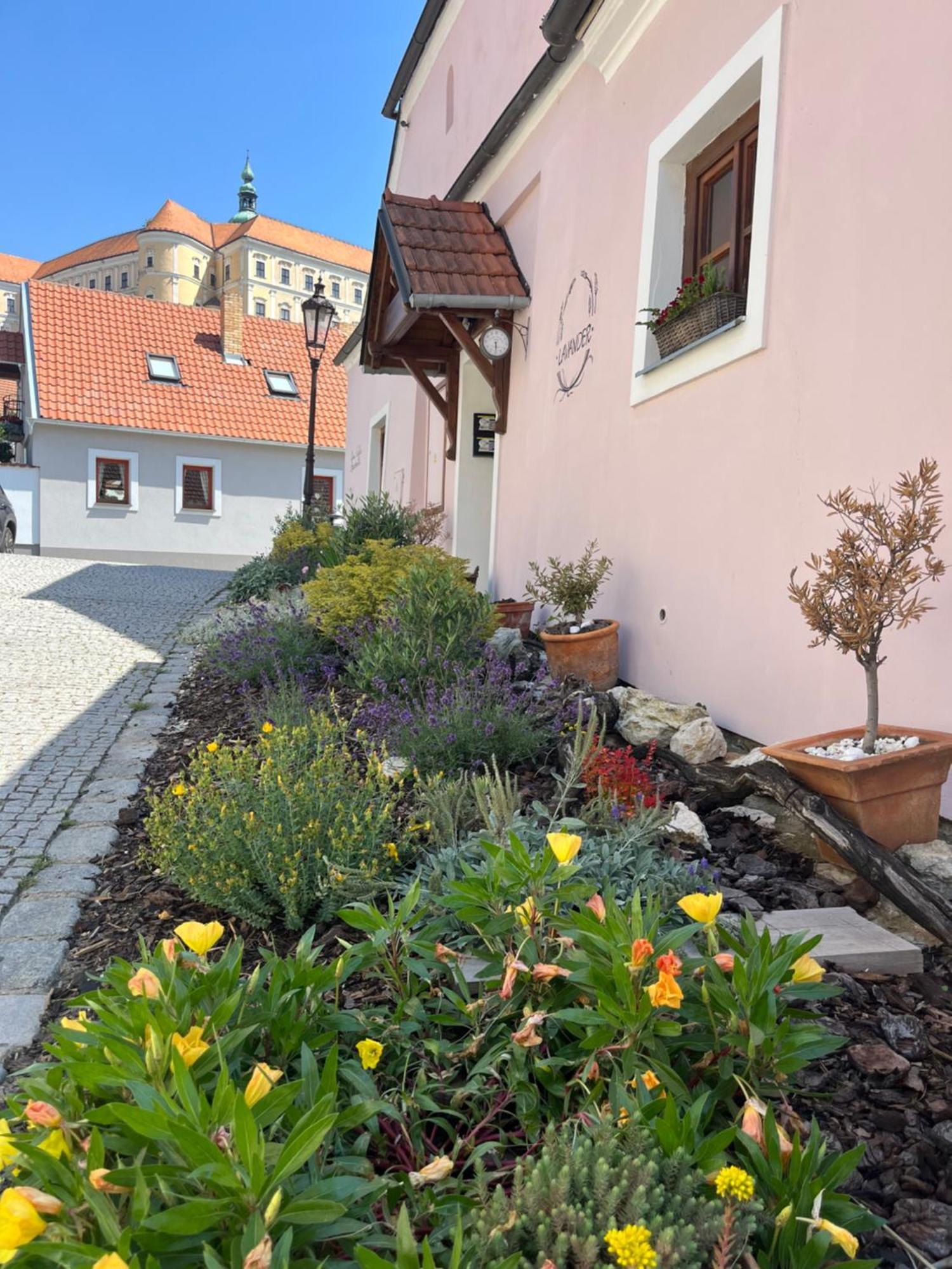 Apartmany Lavander Mikulov Extérieur photo