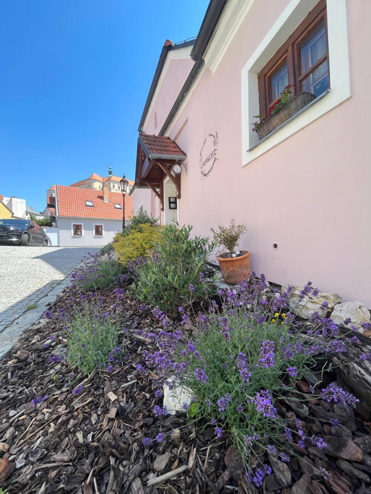 Apartmany Lavander Mikulov Extérieur photo
